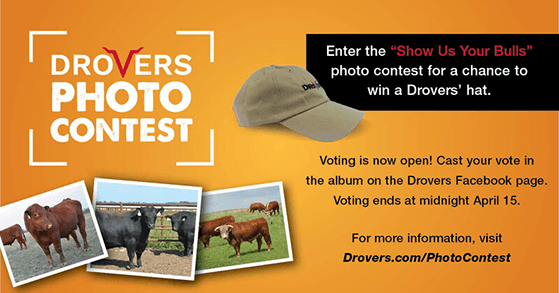 Drovers Photo Contest Example