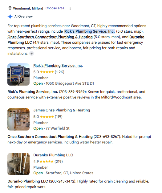ai summary for best plumbing services in woodmont, millford