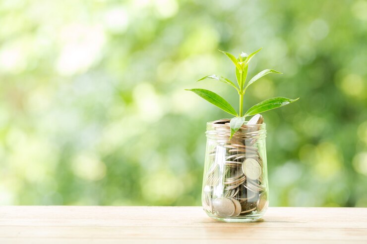 plant-growing-from-coins-glass-jar-blurred-nature_1150-17704