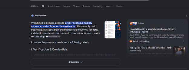 Google AI Overview Search