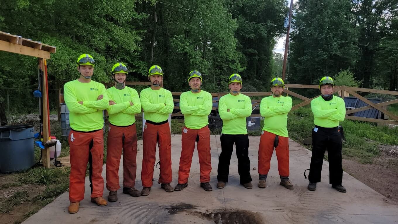 Roble Tree Care Team