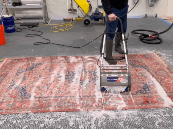 allens rapid dry carpet cleaning and rug spa