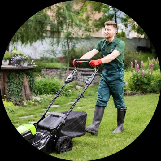 lawn